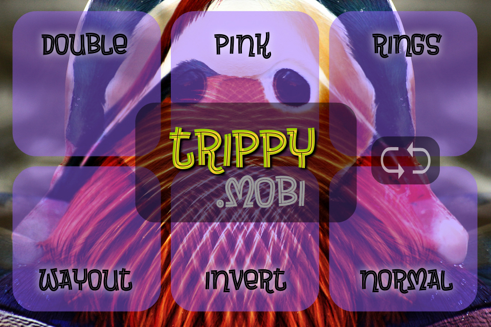 Trippy screenshot showing interface